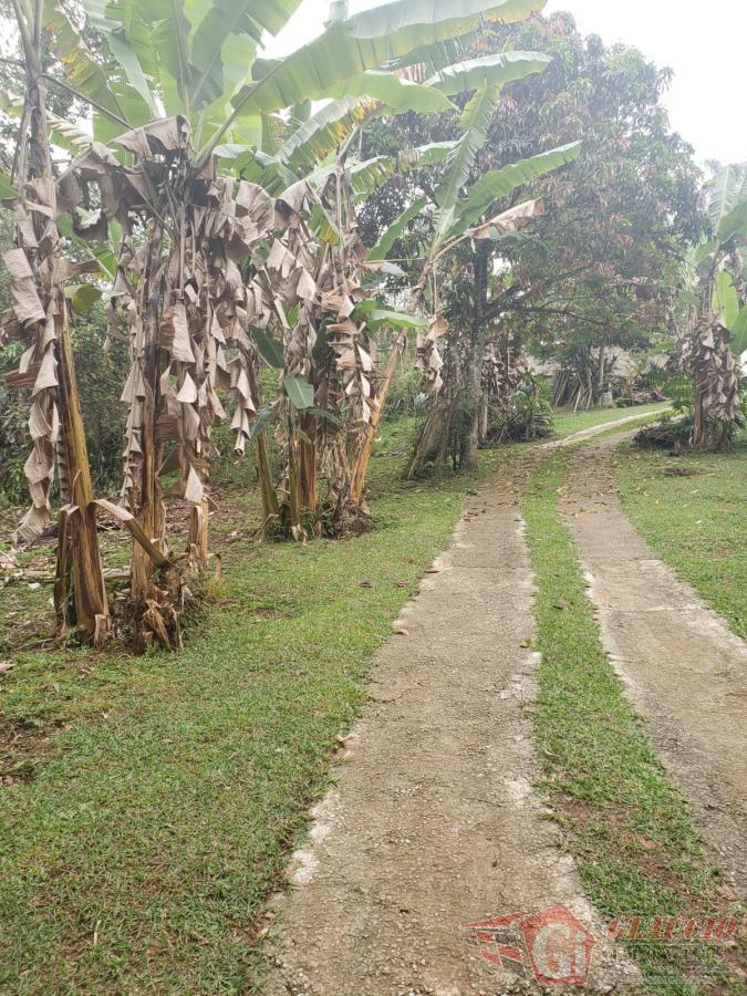 Terreno, 3500 m² - Foto 3