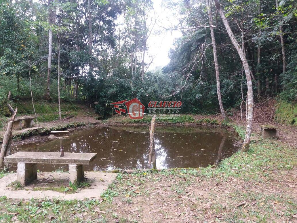 Chácara, 6 quartos, 8000 m² - Foto 16