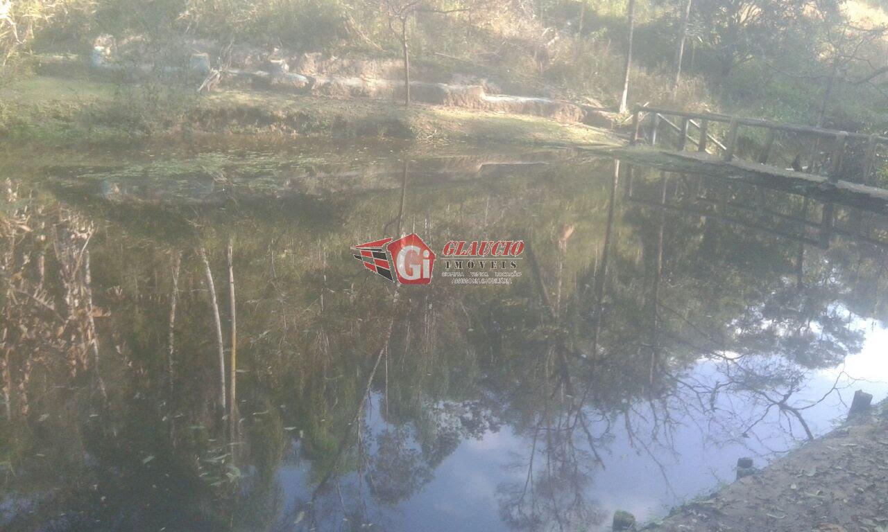 Chácara, 6 quartos, 8000 m² - Foto 18