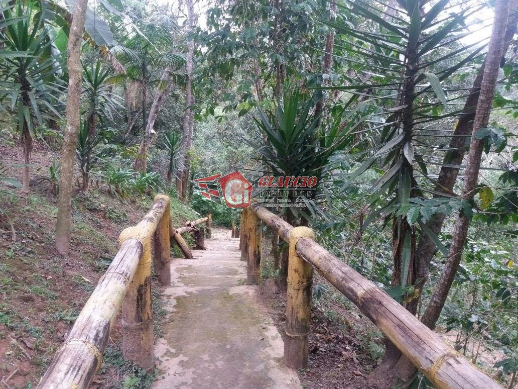 Chácara, 6 quartos, 8000 m² - Foto 12