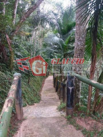 Chácara, 6 quartos, 8000 m² - Foto 13