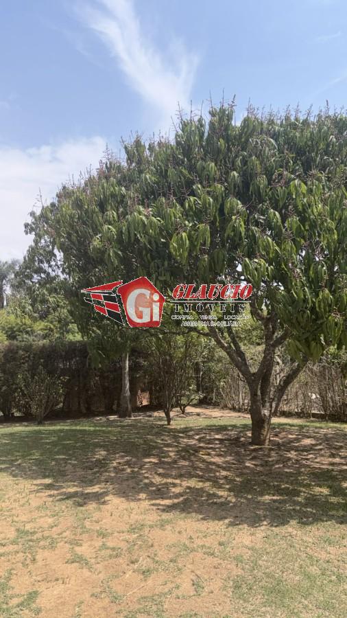 Chácara, 3 quartos, 1000 m² - Foto 9